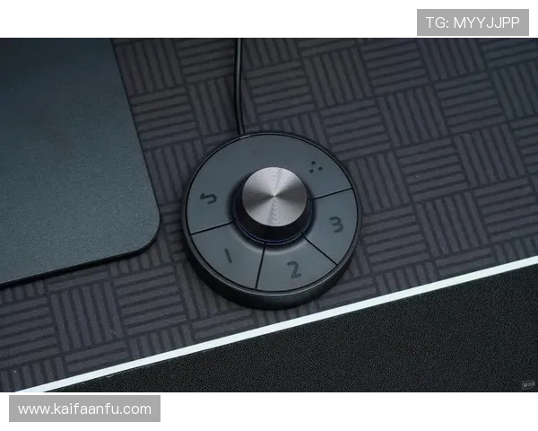 凯发色碟：彩色碟片的维护与存储技巧确保其色彩精准与使用寿命