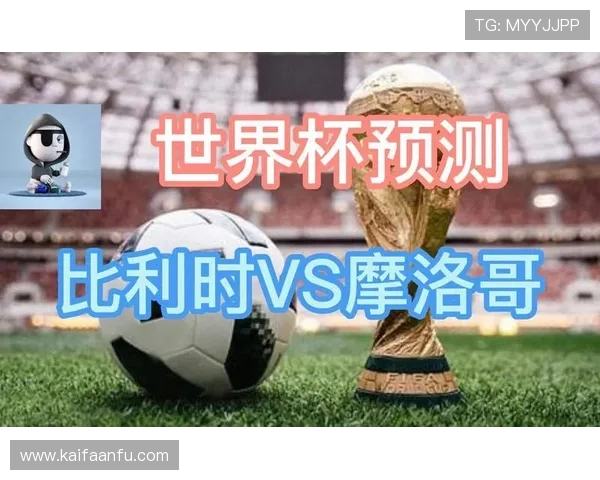 世界杯比利时VS埃及比赛门票购买流程详解及购票注意事项